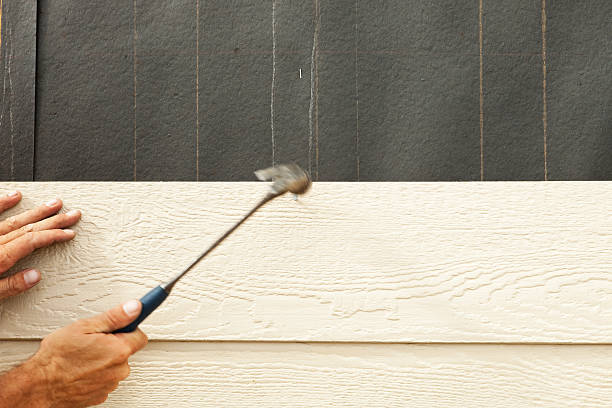 Best Stucco Siding  in Waterman, IL